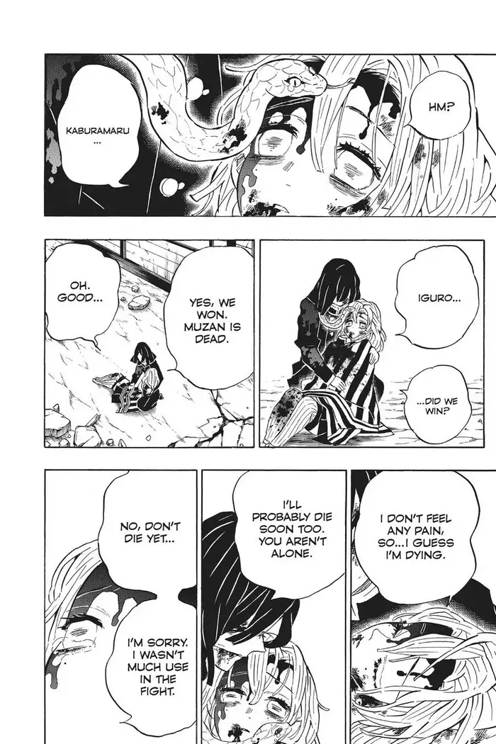 Demon Slayer Chapter 200 image 11_optimized